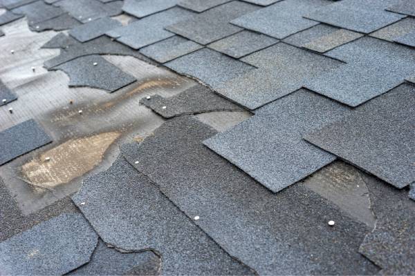 Unveiling 7 Types Of Roof Damage You Should Watch Out For